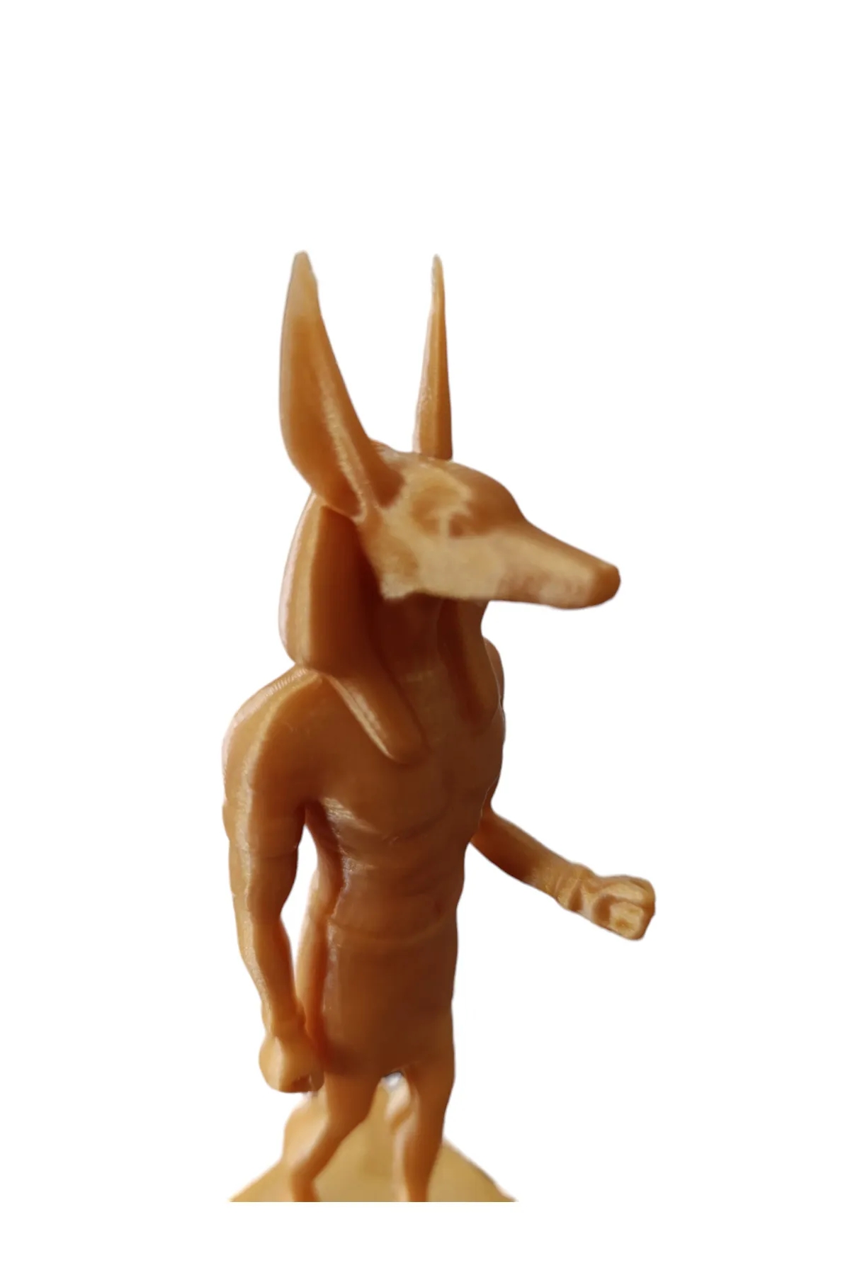 Anubis%20Biblo%2015%20Cm