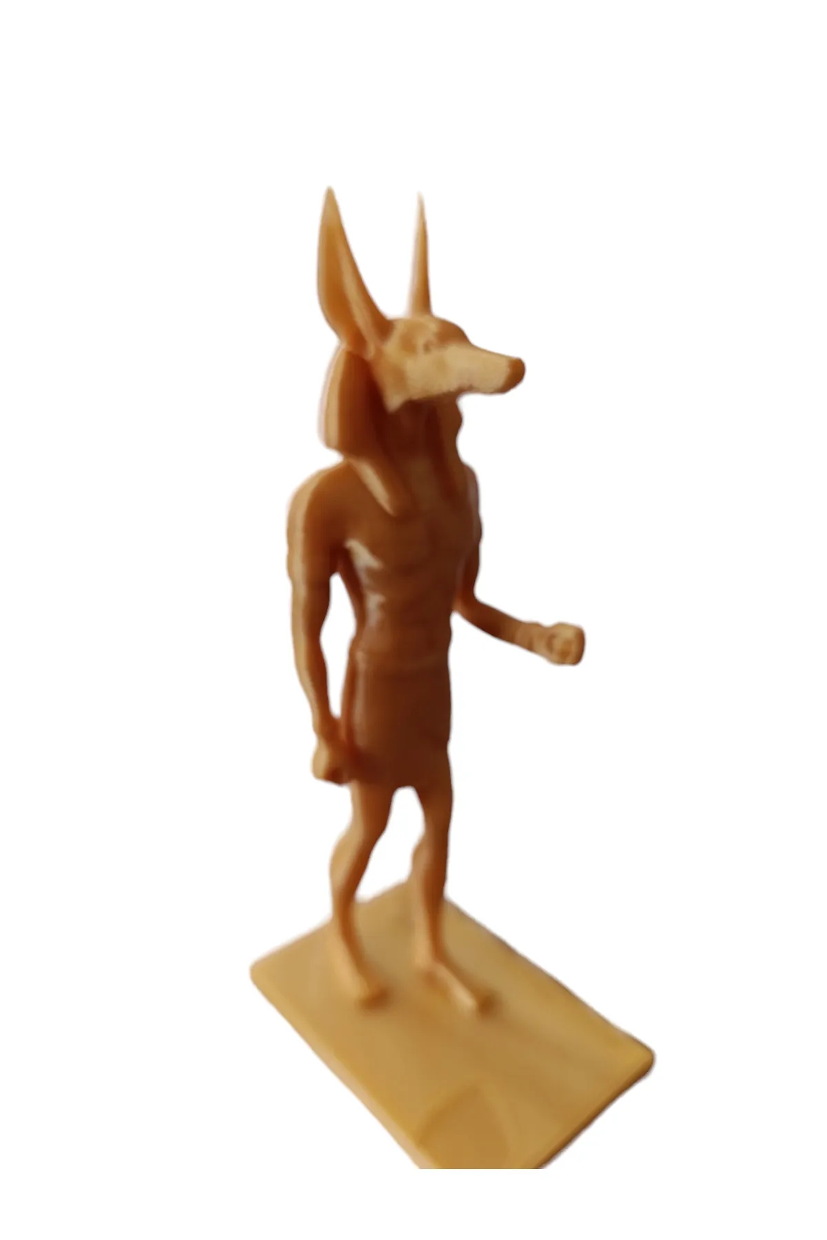 Anubis%20Biblo%2015%20Cm