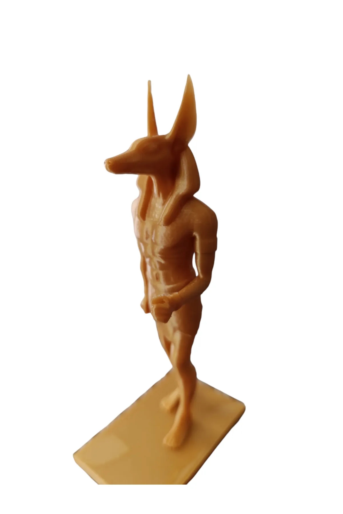 Anubis%20Biblo%2015%20Cm