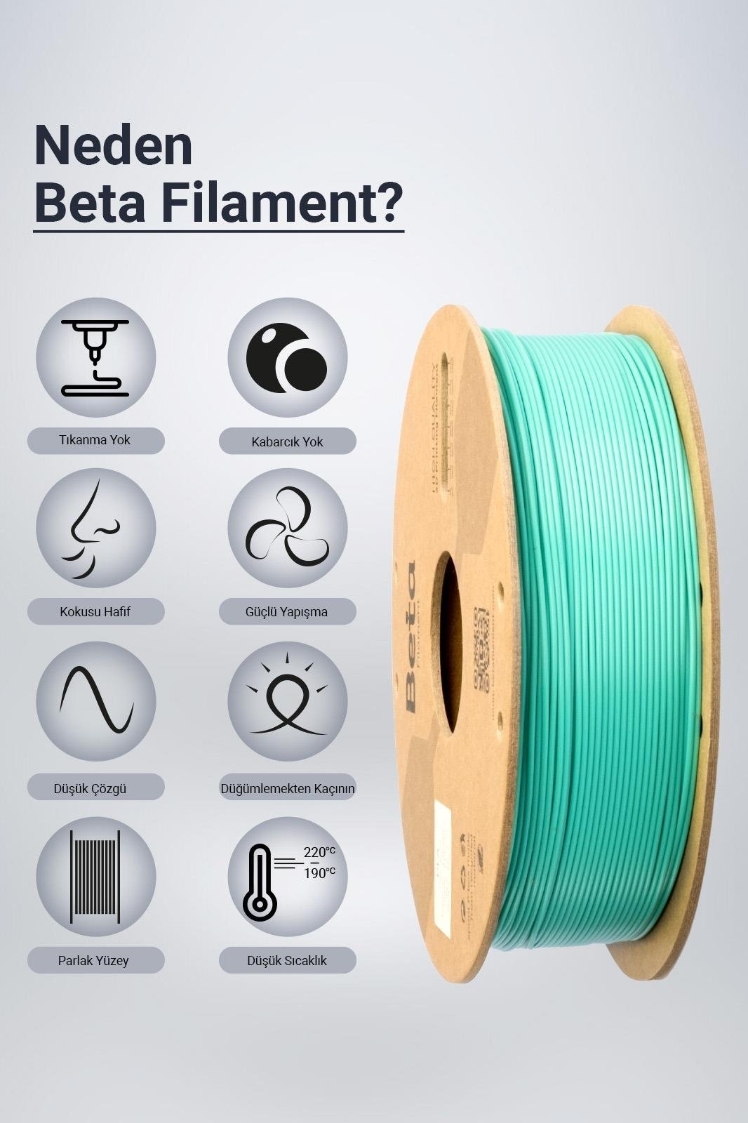 Beta%20PLA+%20Filament%20Aqua%20Green