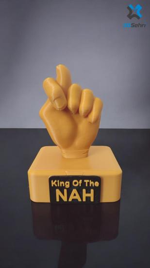 Nah Ödülü - King Of The Nah 11 CM